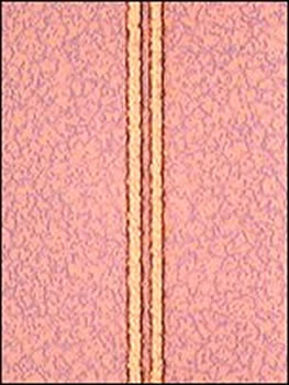 Εκτυπωμένη ηλεκτρονική πλακέτα