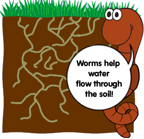 Οργανισμοί στο υπέδαφος