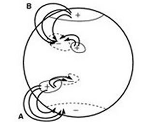 Ηλιακοί μαγνητικό πόλοι
